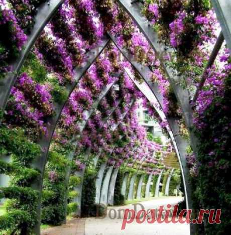 Пергола арочная | ООО &quot;Меркурий&quot;