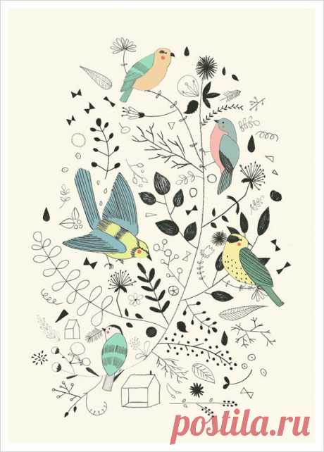 bird-illustration-studio-meez.jpg (573×800)