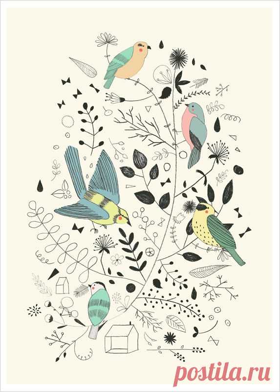 bird-illustration-studio-meez.jpg (573×800)