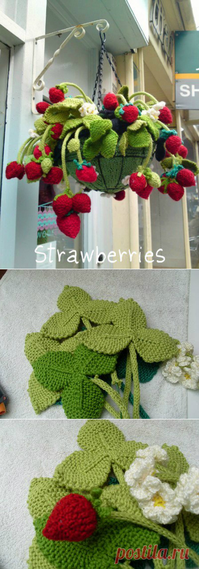 Без заголовка