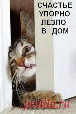 Мой Мир@Mail.Ru