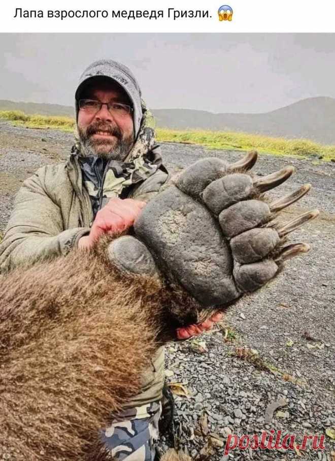 ооо