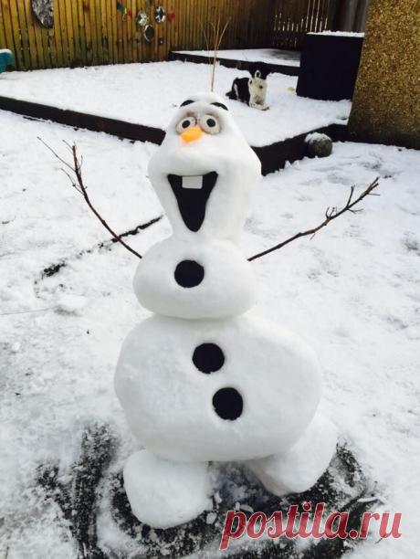 Фотоподборка за 20.01.2015