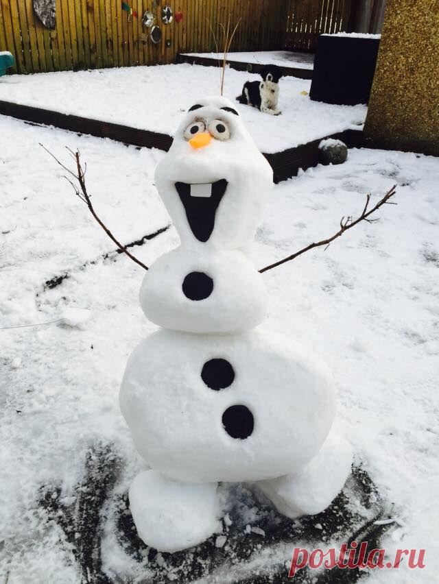 Фотоподборка за 20.01.2015