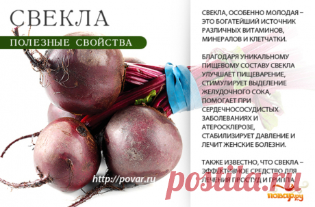 Свекла полезные свойства