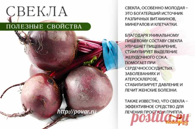 Свекла полезные свойства