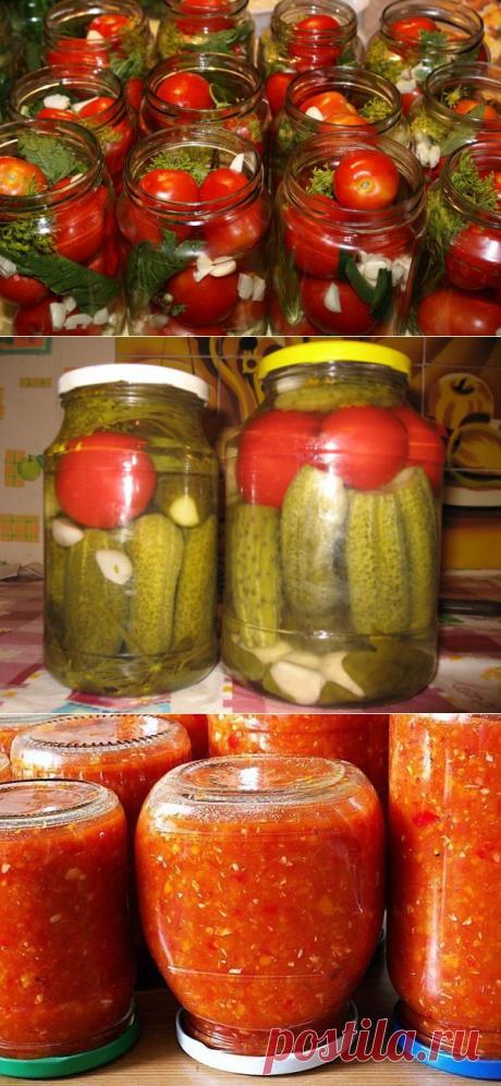 Интересные и вкусные заготовки от опытных садоводов | Дачный участок