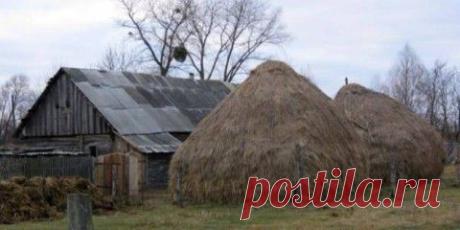 БЛИЗКИЙ КОНТАКТ С ПРИШЕЛЬЦЕМ В ПИНСКОМ РАЙОНЕ | ТАЙНЫ ВСЕЛЕННОЙ