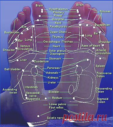 PHITEN - теперь и в России / Стельки SPORTS / Уход за собой / стельки / Pinme.ru / insoles