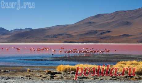 Боливия: Лагуна Колорадо - марсианские пейзажи с фламинго (32 фото).
