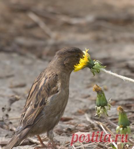 Краски жизни!
