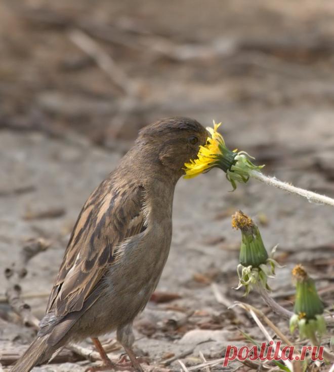 Краски жизни!