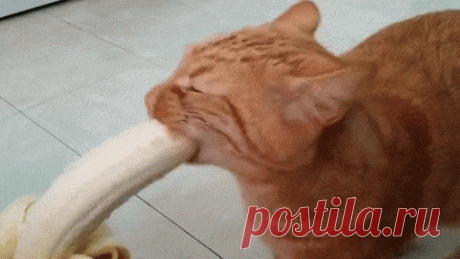 живая фотка | Записи с меткой живая фотка | Дневник Krasyna (Larisa--Klara)