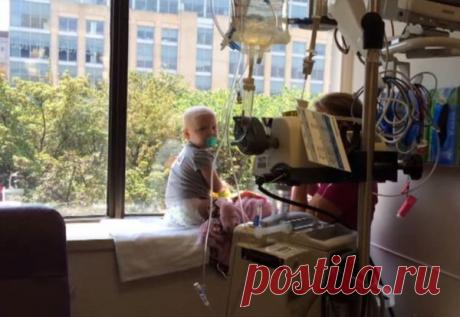 Когда строители заглянули в окно, их сердце дрогнуло. То, что они сделал потом, просто невероятно!