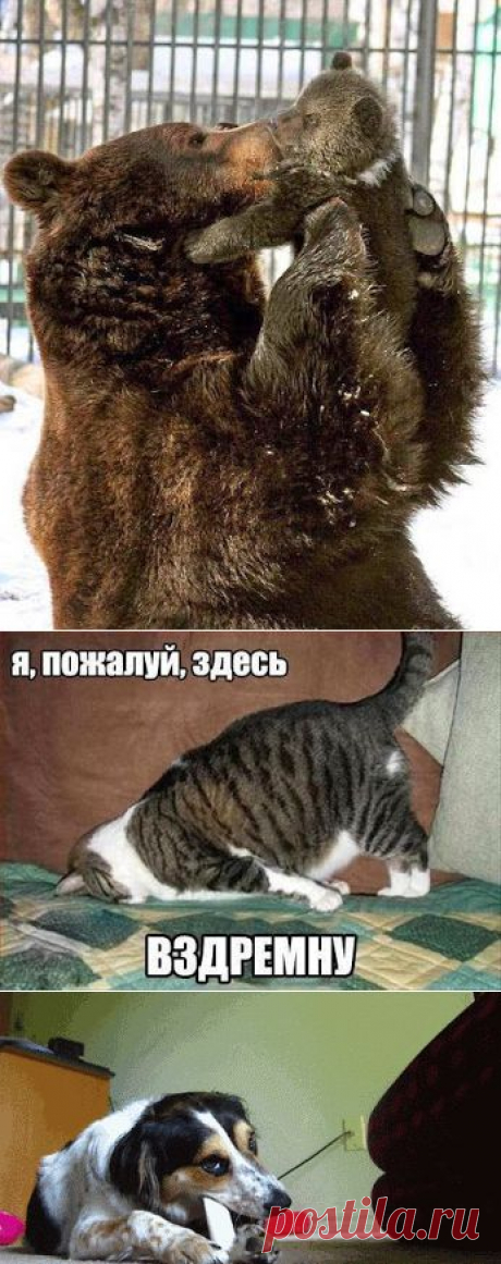 Валерий Колягин – Google+