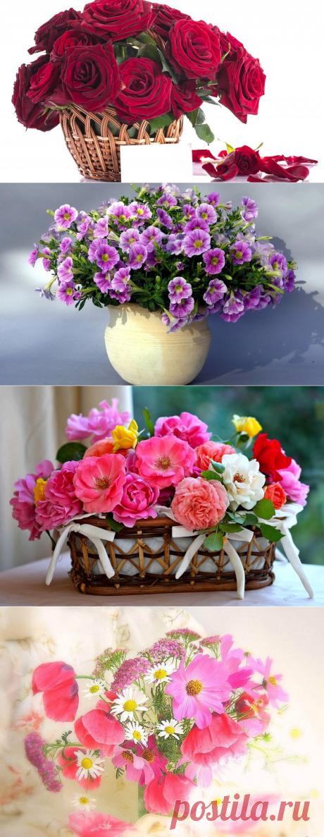 Обои на раб. стол/Цветы в корзинах и в вазах..