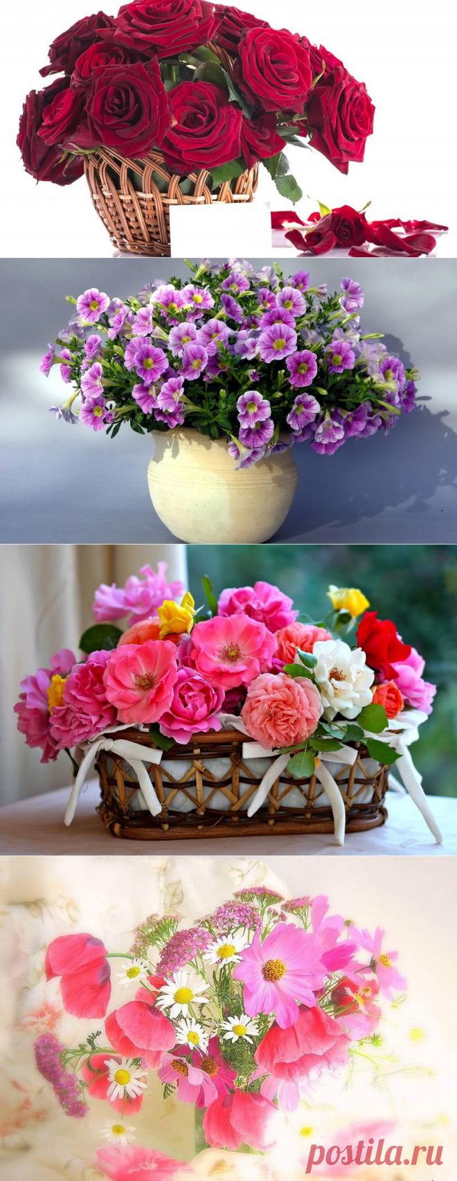 Обои на раб. стол/Цветы в корзинах и в вазах..