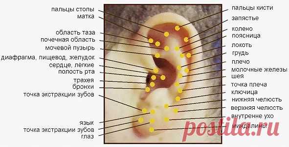 Новости