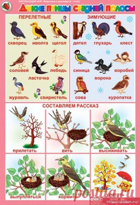 Обучение в игровой форме