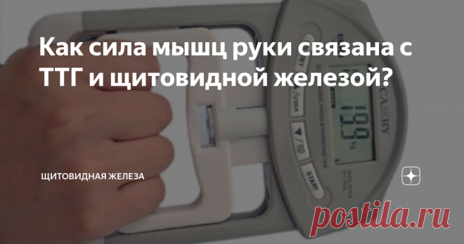 Как сила мышц руки связана с ТТГ и щитовидной железой? Немецкие специалисты заинтересовались связью между силой мышц рук и гормональным обменом щитовидной железы. Почему именно такую зависимость решили изучить специалисты из Германии? Дело в том, что при гипотиреозе и гипертиреозе изменяется сократительная возможность мышечной ткани. Появляется слабость.