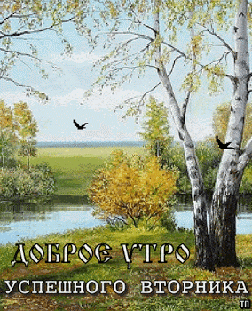 1cjry6bwfug7msnb.gif (284×350)