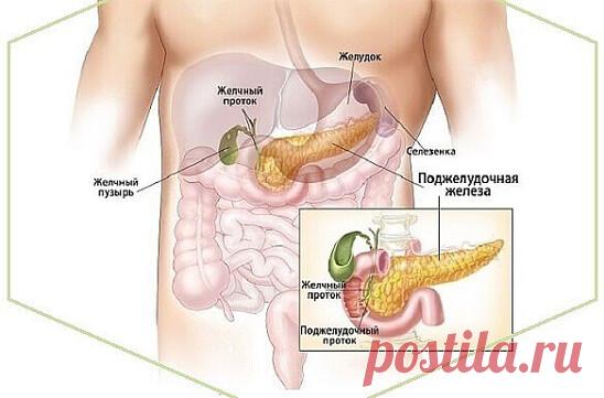 КАК ПОМОЧЬ ПОДЖЕЛУДОЧНОЙ ЖЕЛЕЗЕ