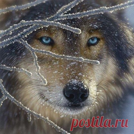 (2) Facebook