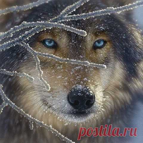 (2) Facebook