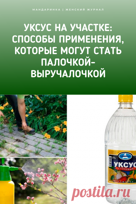 Уксус на участке: способы применения, которые могут стать палочкой-выручалочкой