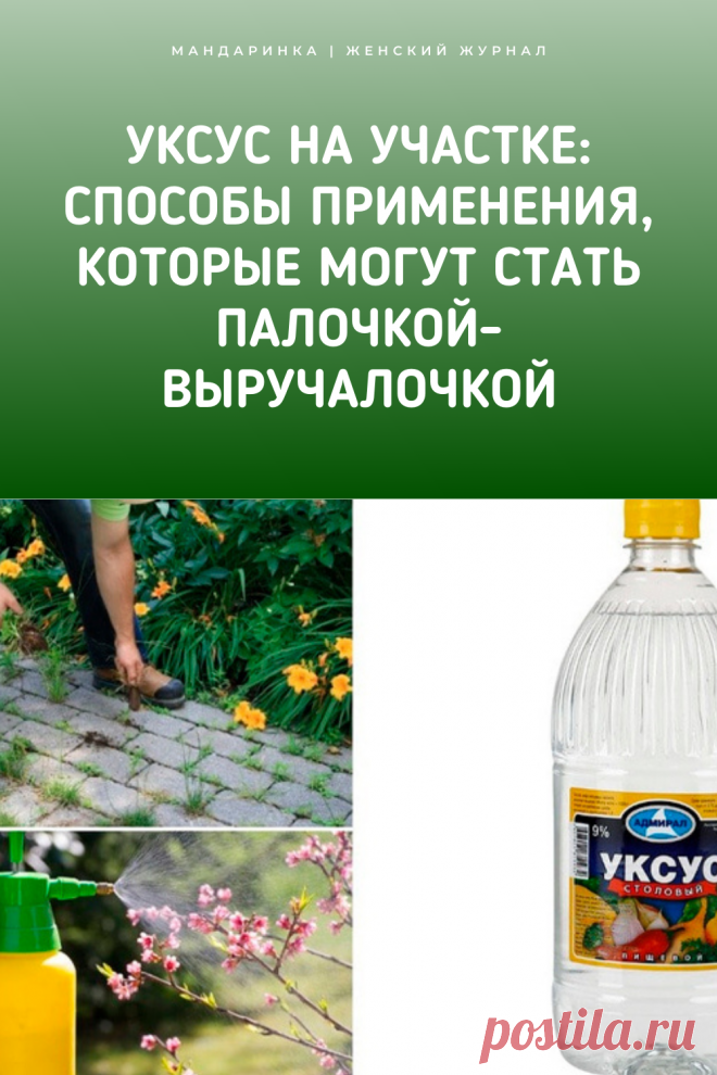 Уксус на участке: способы применения, которые могут стать палочкой-выручалочкой
