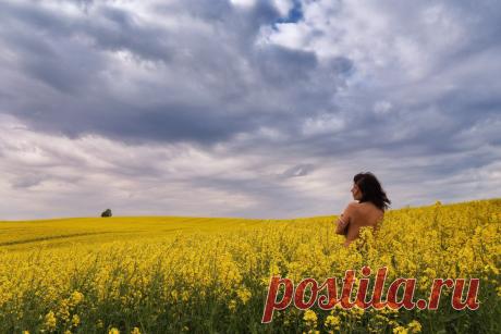 35PHOTO - Вейзе Максим - Под майским небом