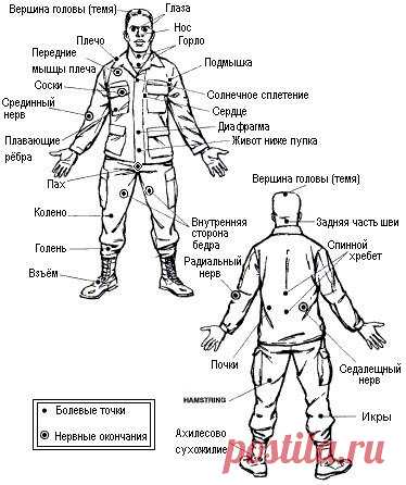САМЫЕ ЭФФЕКТИВНЫЕ ПРИЕМЫ САМООБОРОНЫ 


К сожалению, уличный криминал – вполне типичное явление для отечественной действительности. С этим можно сколько угодно не соглашаться, но намного лучше не соглашаться, оставаясь готовым к любому в…
