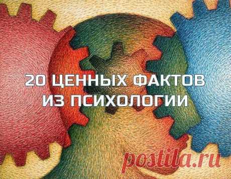 (3) Одноклассники