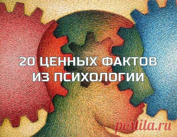 (3) Одноклассники