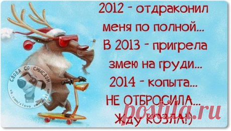Новогодние фразочки со смыслом :) | Сайт Союза Юмористов