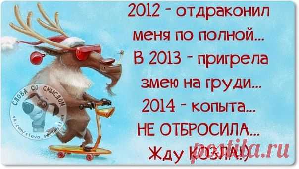 Новогодние фразочки со смыслом :) | Сайт Союза Юмористов