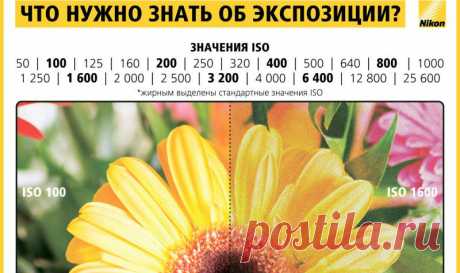 Как научиться фотографировать: пошаговая инструкция от Nikon Что нужно знать об экспозиции, как использовать гистограмму, что такое баланс белого и многое другое