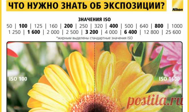 Как научиться фотографировать: пошаговая инструкция от Nikon Что нужно знать об экспозиции, как использовать гистограмму, что такое баланс белого и многое другое