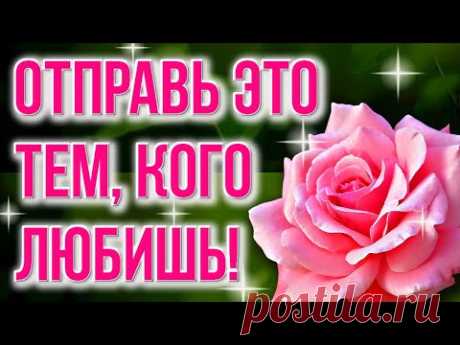 С добрым утром. Музыкальная открытка доброе утро. Самые добрые пожелания добра самым любимым! Добрые пожелания хорошего дня и отличного настроения! Доброе зимнее утро!  Пожелание с добром утром тем кто дорог! Хотите красиво пожелать доброго утра своим близким отправьте им это видео. Красивые открытки с добрым утром поднимают настроение и дарят положительные эмоции.

Ссылка на видео пожелание доброго утра: https://youtu.be/bVCU1f7lCpk