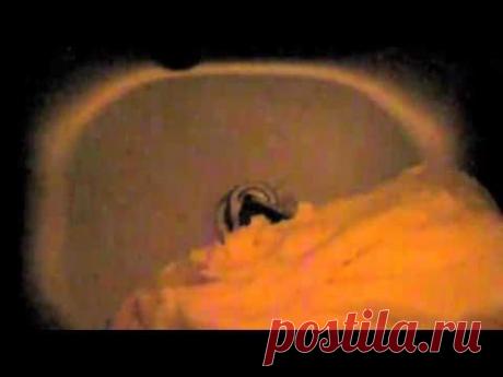 Правильная ссылка. - elena_boyko_59@mail.ru - Почта Mail.Ru