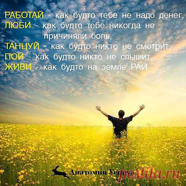 http://www.rodoswet.ru/ "РОДоСВЕТ"