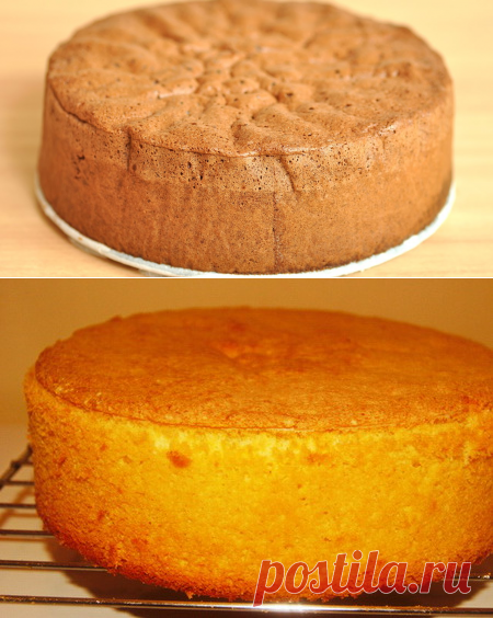 20 рецептов чудесного бисквита — lovecook.me