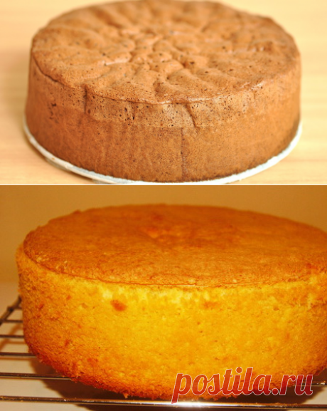 20 рецептов чудесного бисквита — lovecook.me
