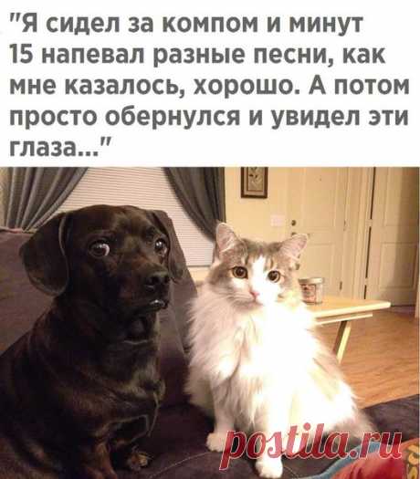 Наталья Степанова