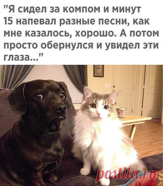 Наталья Степанова