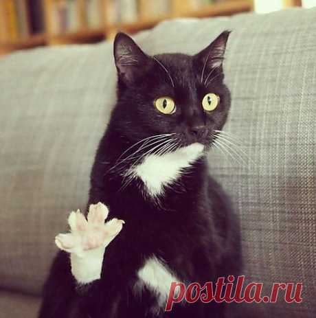 Дай пять=))).....Ой четыре=)))
