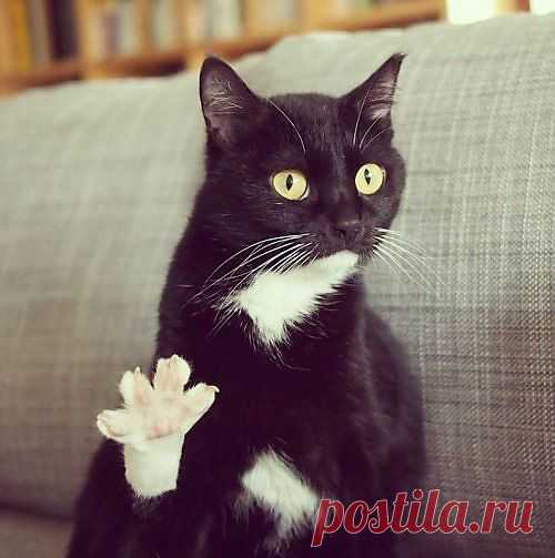 Дай пять=))).....Ой четыре=)))