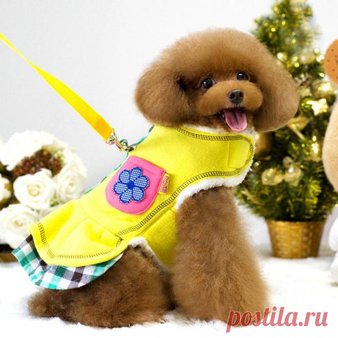 Купить попонка с поводком для кошек и собак "Милашка" по низкой цене