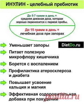 Инулин: огромная польза, минимальный вред и как употреблять правильно, дозы и правила, цены и где купить