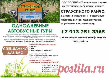 СТРАУСИНОЕ РАНЧО